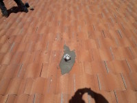 Roof leak repair cost