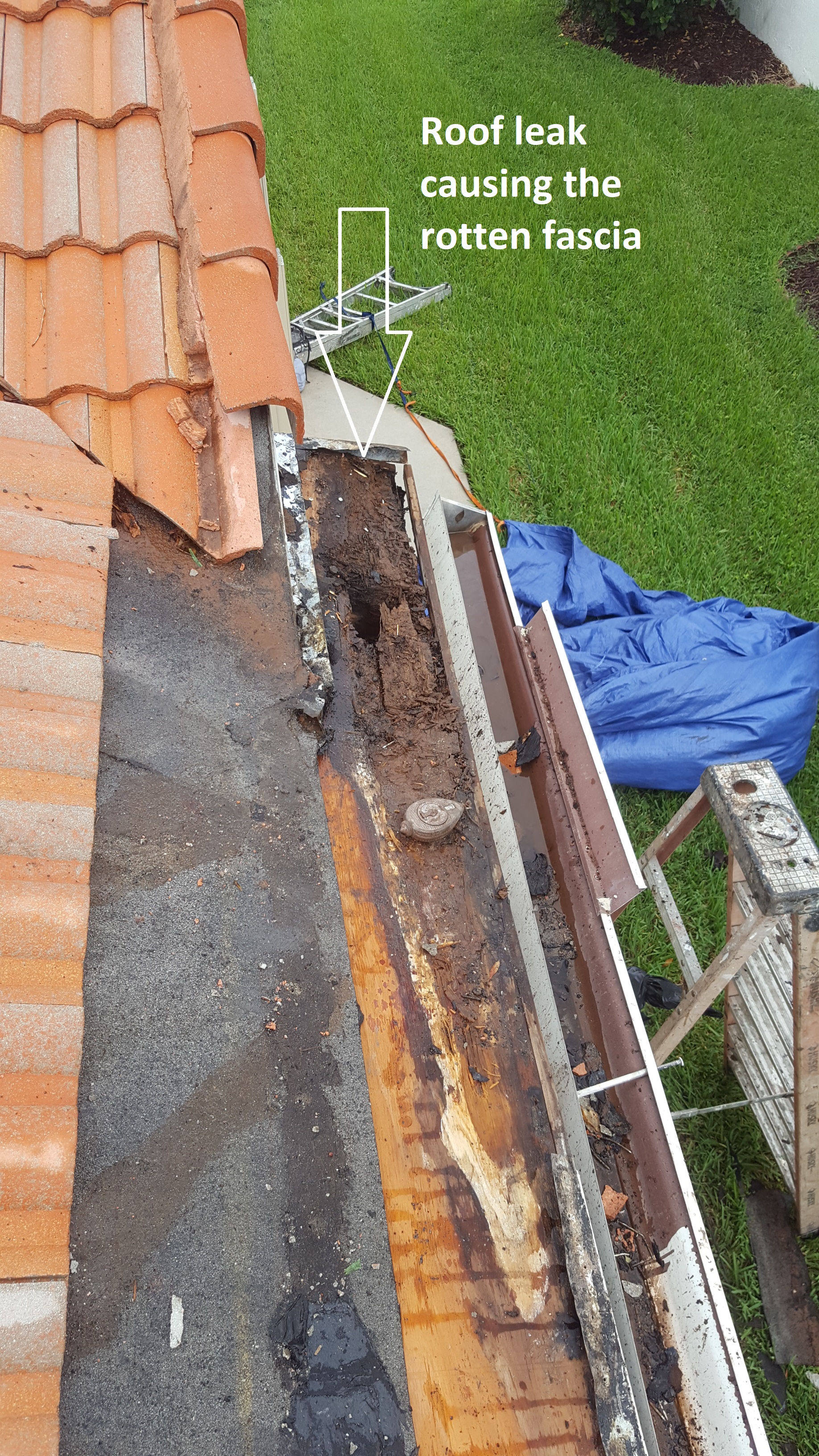Rotten Fascia and Soffit Repair - General Contractor in