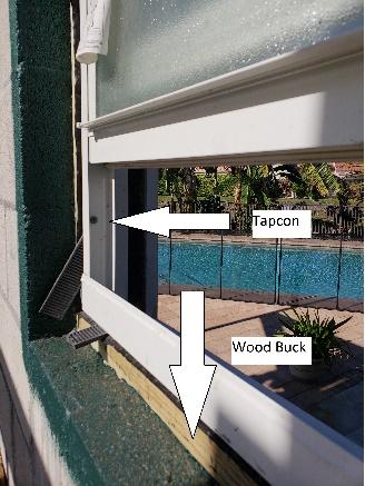 buck in window