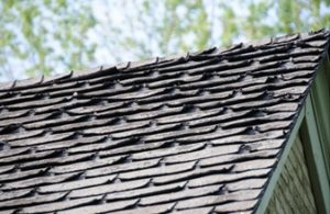 shingle roof repair