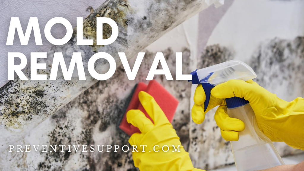 mold removal