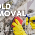 Mold Removal: How to Getting Rid of Mold